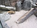 25/04 : Visite du zoo de Stuttgart