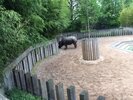 25/04 : Visite du zoo de Stuttgart