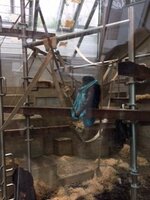 25/04 : Visite du zoo de Stuttgart