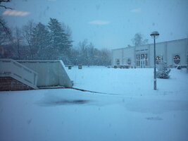 Vue depuis le CDI sur la cantine