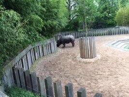 25/04 : Visite du zoo de Stuttgart