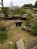 25/04 : Visite du zoo de Stuttgart